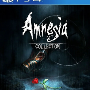 amnesia_collectiion