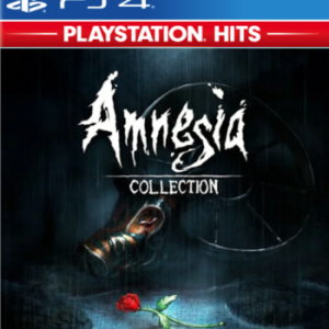 amnesia_collection (1)
