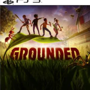 grounded